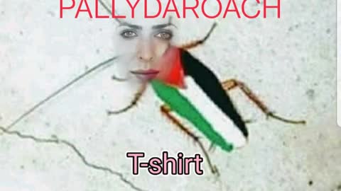 Pallydaroach T-shirts available