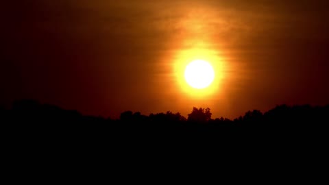 Sunrise TImelapse Over Trees