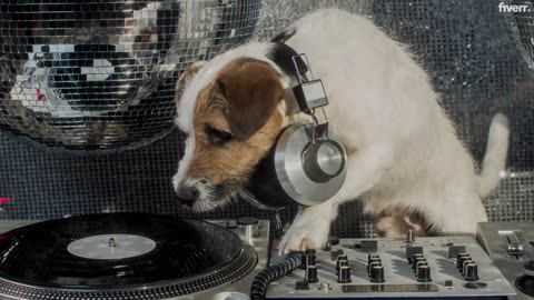 AMAZING DOGGY DJ