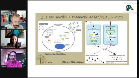 ¿Es la terapia génica de ARN un fracaso total?