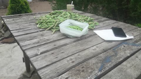 Processing peas