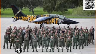 AlphaJet squadron 301 Jaguares ~ Tigermeet