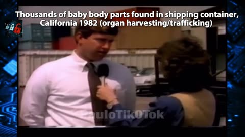 Thousands of baby body parts found in shipping container (1982)