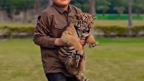 Little Kid With 1 Month Old Tiger Cub | Nouman Hassan