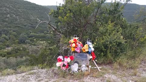 Twisted sisters Hill Country