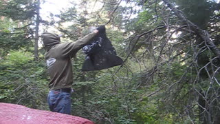 Bagging a Hornets Nest