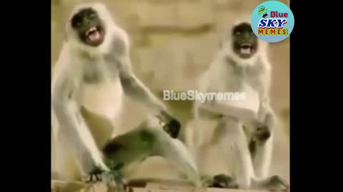 Latest funny memes compilation very funny!.