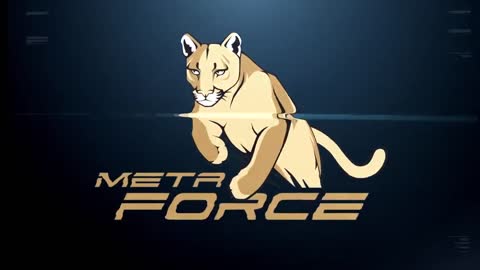Royalty NFT program pre-launch. Statuses in Meta 2022 > META FORCE JOIN NOW