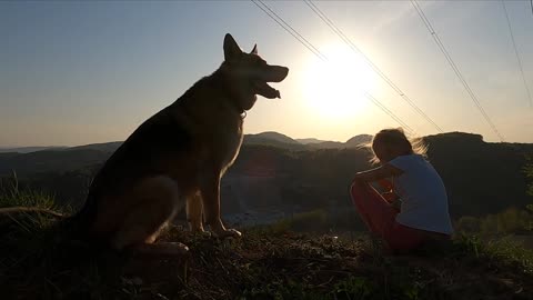 Le toucher est particulier chez le chien