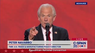 Peter Navarro: 'If They Can Come For Me, They Can Come For You'