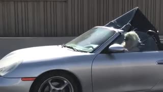 Blonde lady driving with huge tv in passenger seat coupe