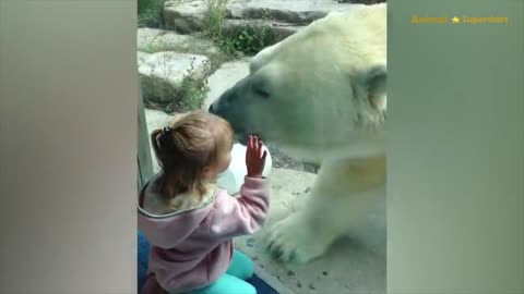 Polar Bear Boogie: Little Girl's Uncontrollable Laughter! -Get Ready For A Dose Of Cuteness & Comedy