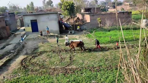 How Poor People Live in India || Village Life of India. || UP Uttar Pradesh || #RealLifeIndia