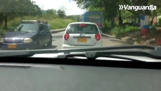 Dos terneros eran transportados en un vehículo en Bucaramanga