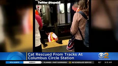 MTA Worker Rescues Cat On Subway Tracks