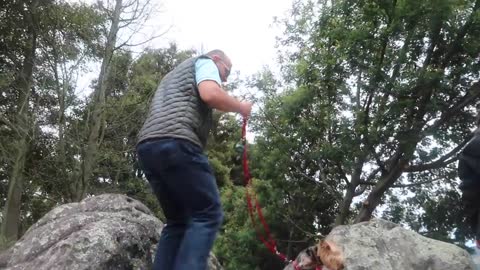 Encontró perrito abandonado en el cumpleaños de su papá