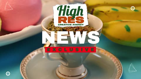 High Res News Exclusive-Lil Beans Canna-Q 24'