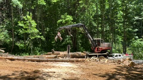Powerful Logging Equipment in Action
