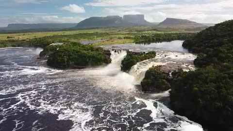 beautiful & dangerouse amazon jungle