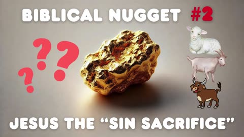 Biblical Nugget #2 Jesus the "Sin Sacrifice"