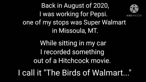 The Birds of Walmart
