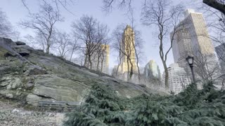 Central Park New York City - Park Avenue South