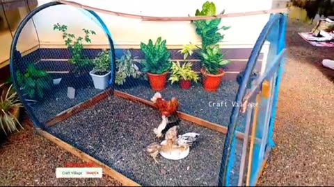 How to Make Birds🦜 Cage | Birds House 🏠 #cage #rumble #viral #birds #howto