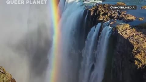 NBC will Release An LGBTQ 🙄+ Nature Documentary Called “Queer Planet”