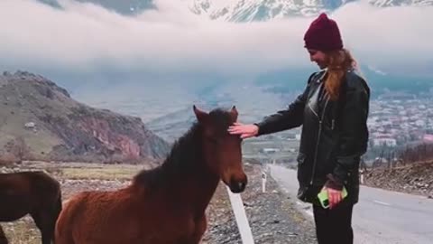 Woman Petting a Horse
