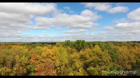 Fall Apple Orchard Aerial Flyover 😎