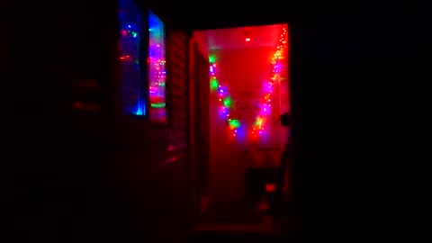 My Christmas Lights 12/7/23: