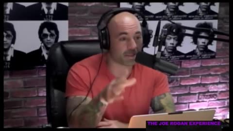 Gold Diggers & Wounded Gazelle's with Greg Fitzsimmons (from Joe Rogan Experience #466)