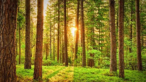 Paisagens Mais Lindas do Mundo - Relaxar a Mente