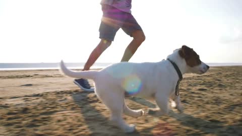 Young happy playing with cute puppy dog Jack Russell terrier on beach