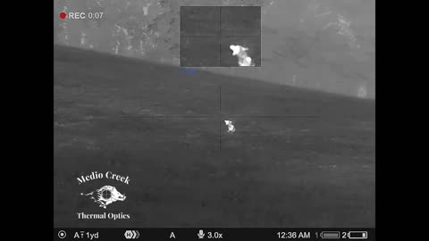Thermal hunting 20 Coyotes and 2 Bobcats DOWN!! In less than a minute.