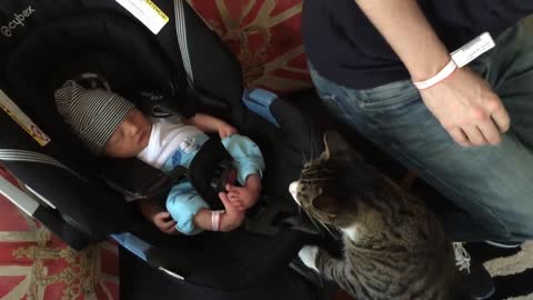 Cats Meeting Babies For The First Time <NEW Compilation