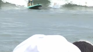 Surfing Dogs Collide Onto One Surfboard