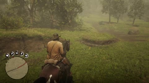 RDR2 - random event (helping a man with dysentery