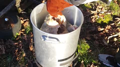 Deep fry turkey