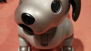 Would you own this Cute Robot Dog?