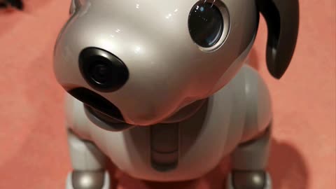 Would you own this Cute Robot Dog?