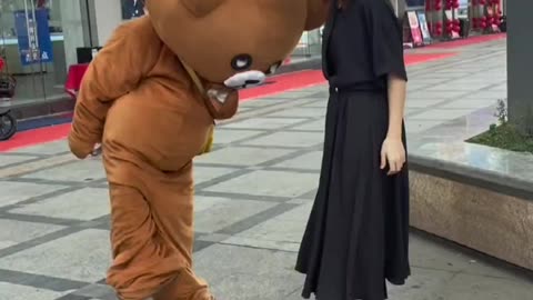 Brown bear teases girl and gets kicked 56