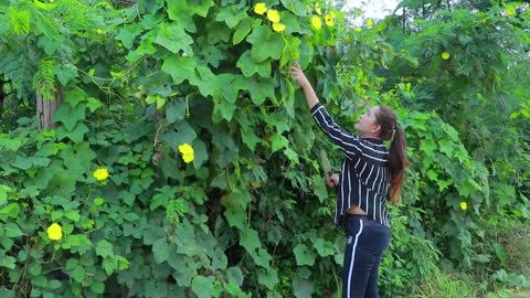 Have you ever eat sponge gourd flower with sponge gourd soup _ Flower Soup Cooking