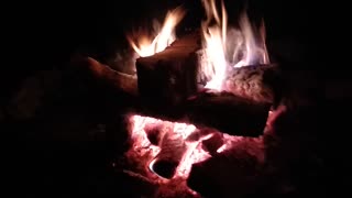 Camp Fire, Crickets And A Screech Owl!