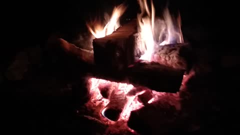 Camp Fire, Crickets And A Screech Owl!