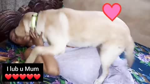 Dog loves his mother 👩