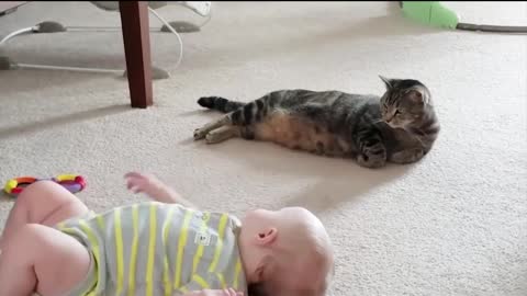 Funny cats and Baby playing