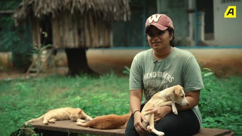 Adoptemos perros del campo¡ l Adopción de perros Asiaville Tamil