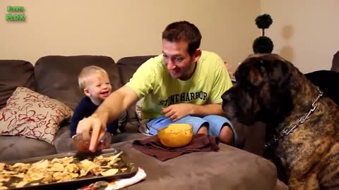 Children Laughing Hysterically At Dogs