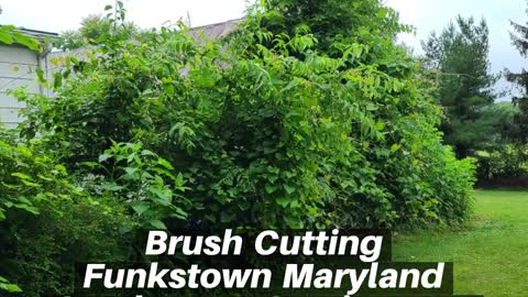 Brush Cutting Funkstown Maryland Landscape Contractor